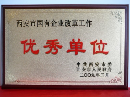 2009年5月，被西安市委、市政府評為西安市國企業(yè)改革工作優(yōu)秀單位