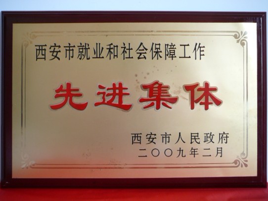 2009年2月，被西安市政府評為西安市就業(yè)和社會保障工作先進集體