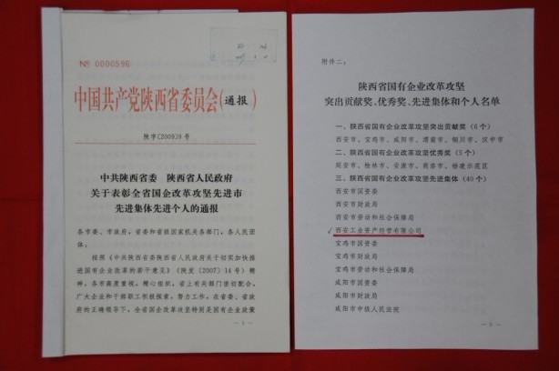 2009年2月，被陜西省委、省政府授予陜西省國有企業(yè)改革攻堅先進集體